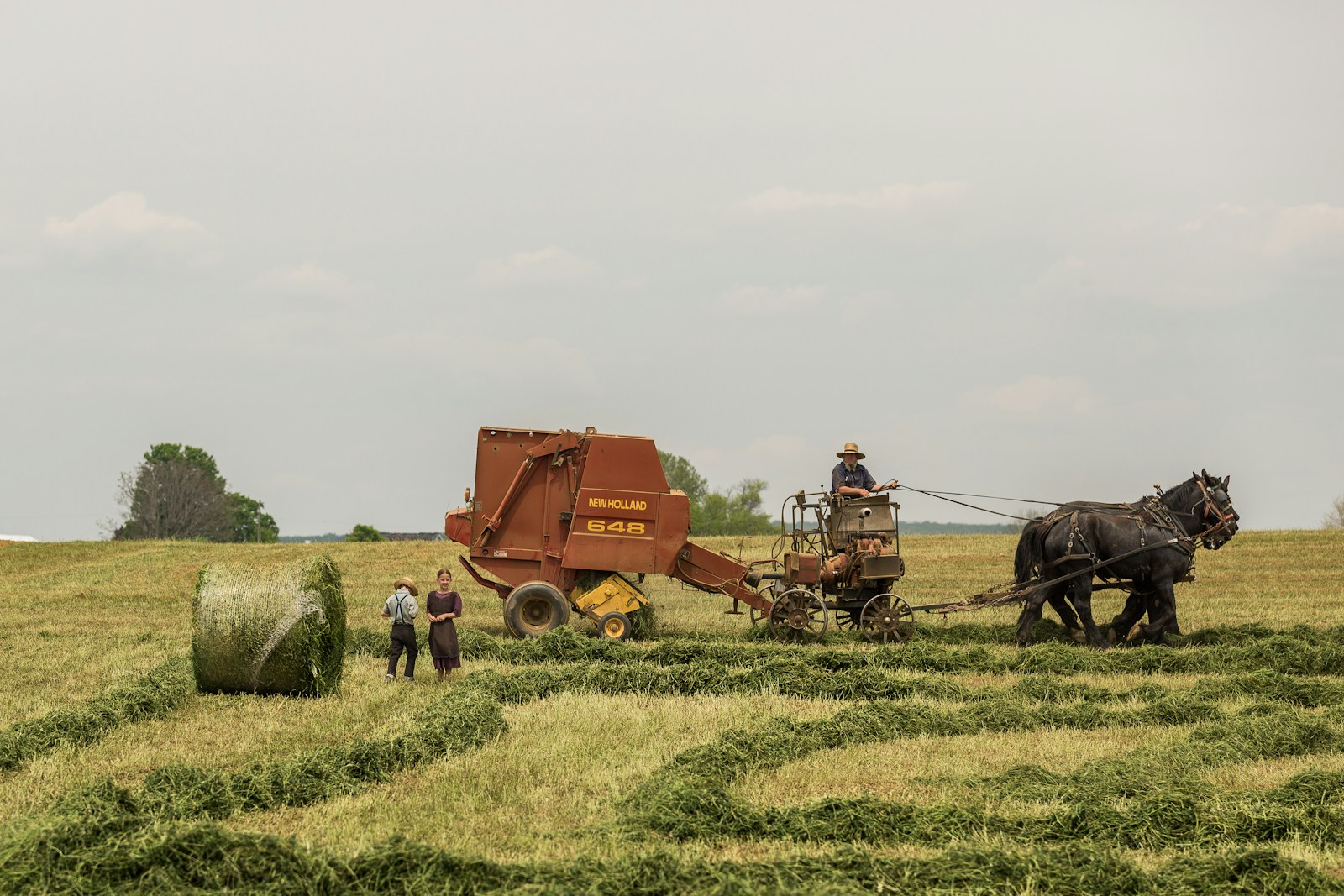 woman standing near brown combine harvester, farm