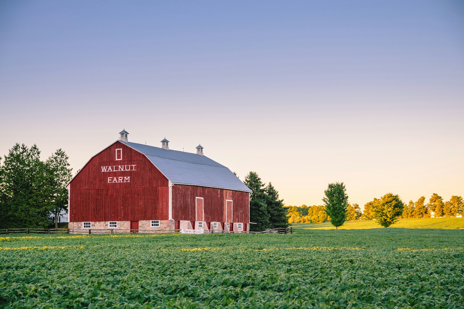 Walnut Farm surrounded by green grass, farm